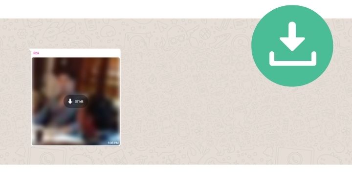 Descargar videos WhatsApp web Descargar videos WhatsApp web